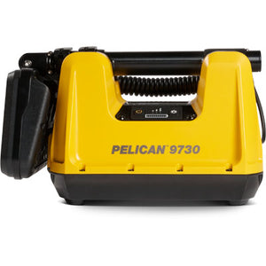 9730 Remote Area Light