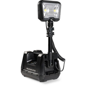 9730 Remote Area Light